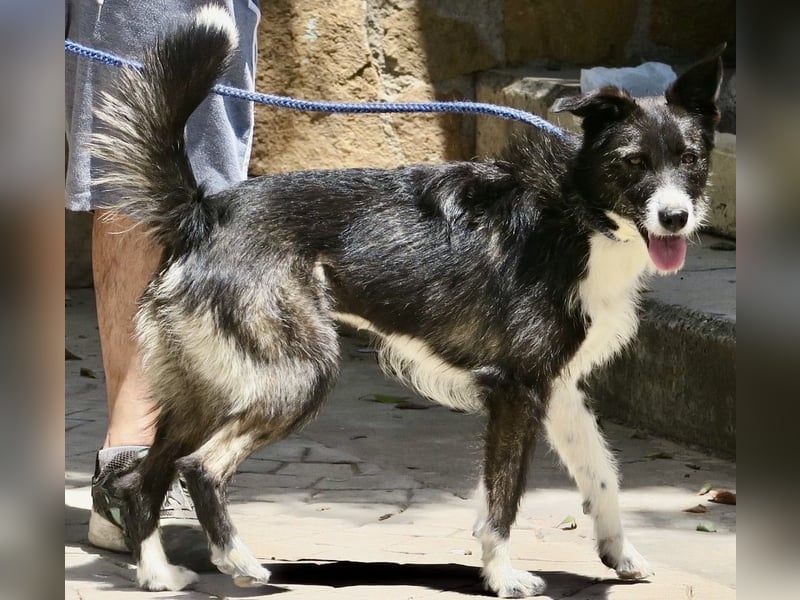 Jesika, freundlich, aufgeschlossen, neugierig