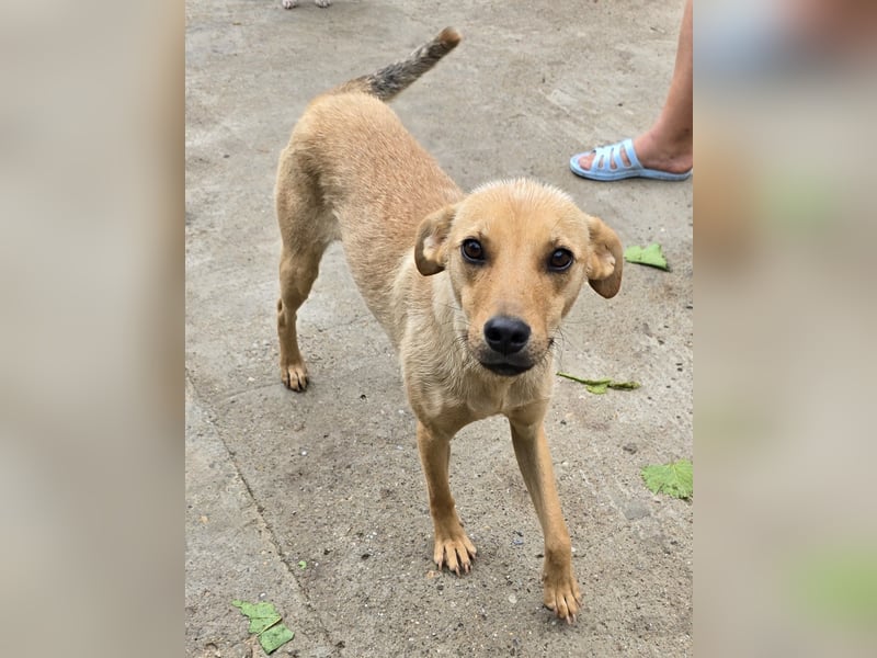 Suki - offen und neugierig