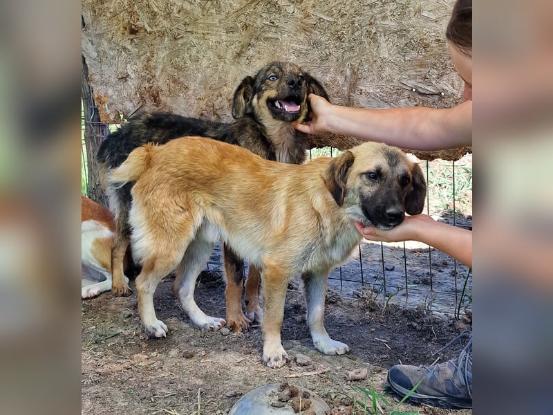 Azul - freundlich und interessiert