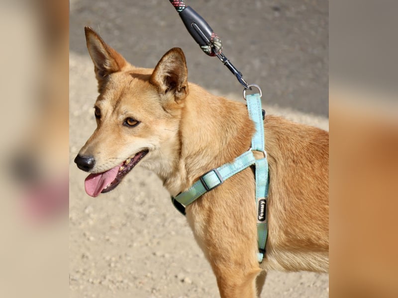 Agua, offen, freundlich und neugierig