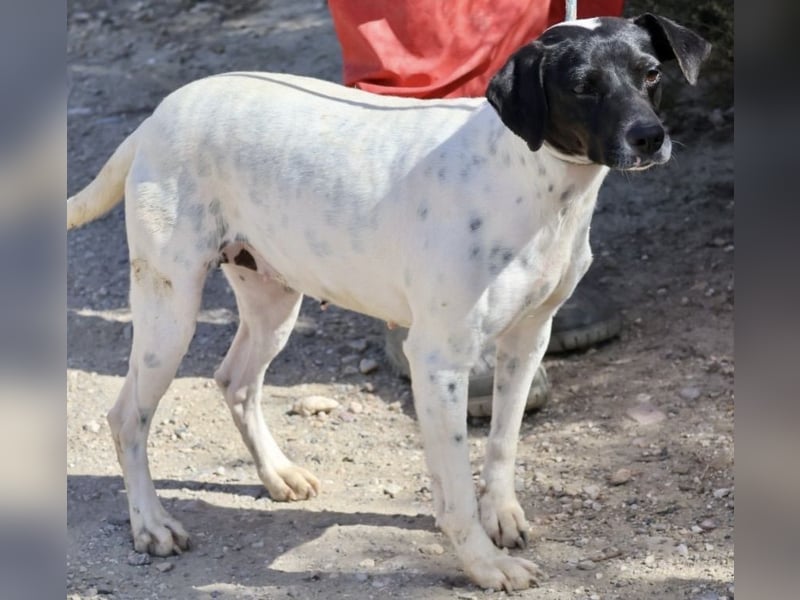 Gaia, sehr sozial, sanft und menschenbezogen