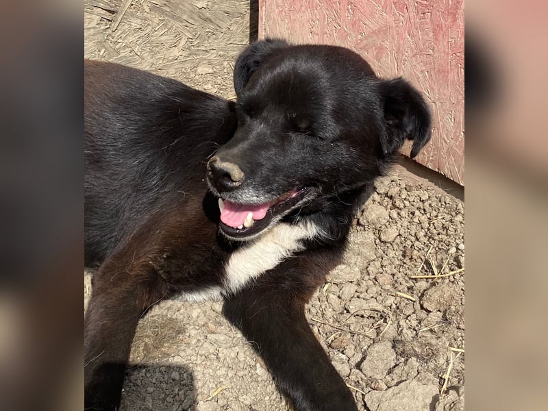 Bounty - ruhig und vorsichtig