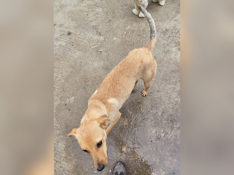 Suki - offen und neugierig