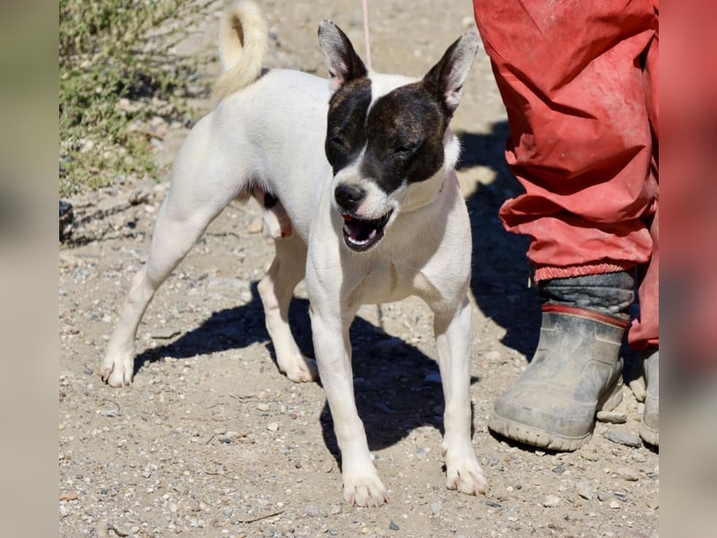 Mark - freundlich, lernwillig und bewegungsfreudig