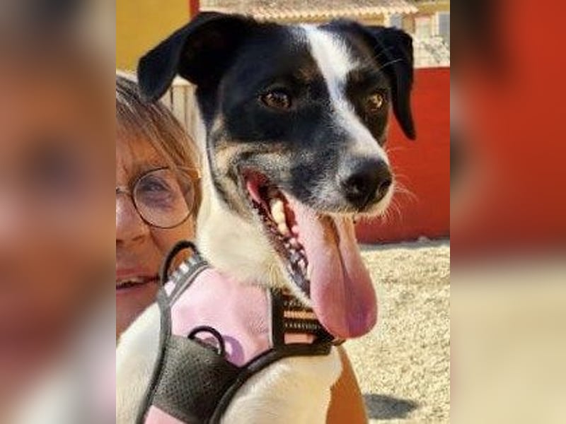 Kathi, zutraulich, verschmust und freundlich