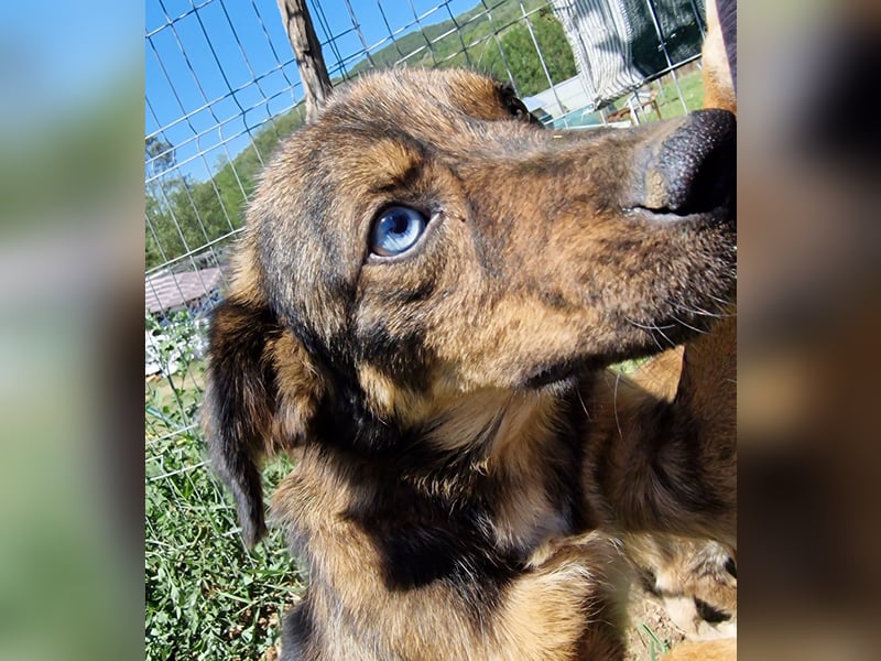 Azul - freundlich und interessiert