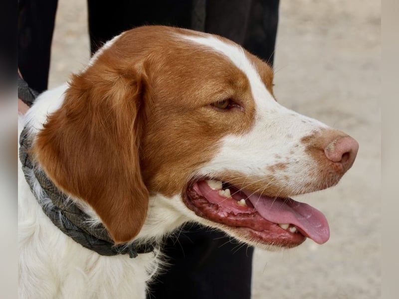 Ralf - klug, bewegungsfreudig und offen