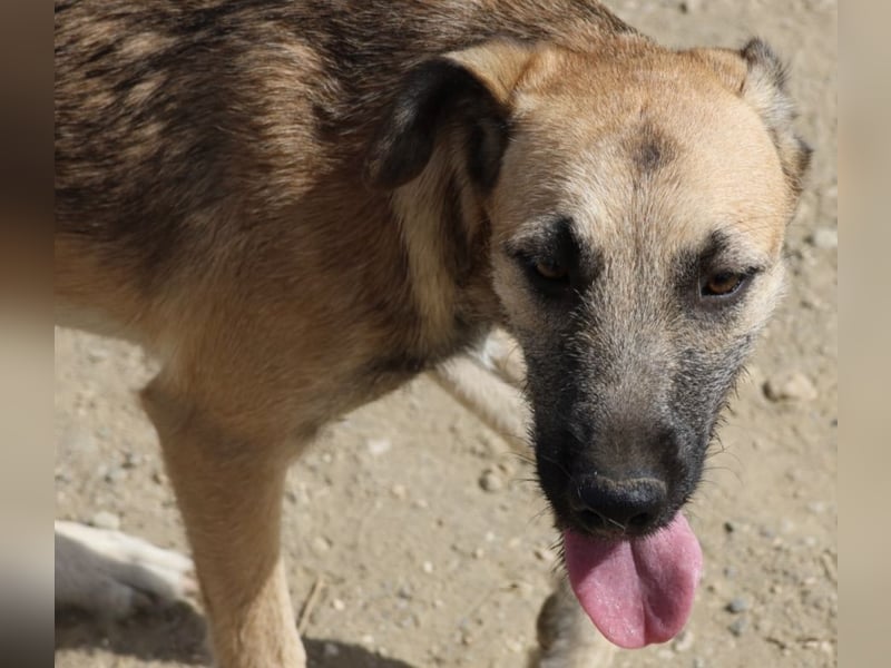 Nata, zurückhaltend, lernwillig, liebevoll