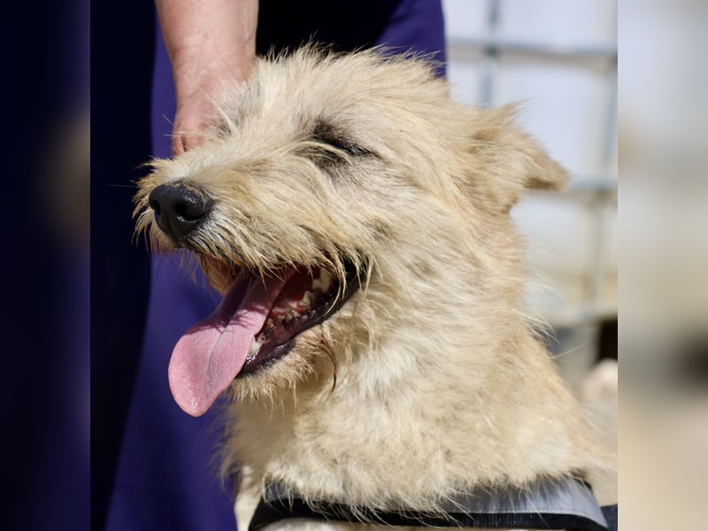 Lady, offen, freundlich und zutraulich / reserviert