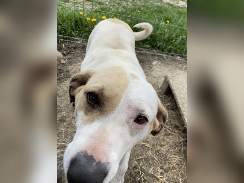 Marlene - aufgeschlossen und neugierig