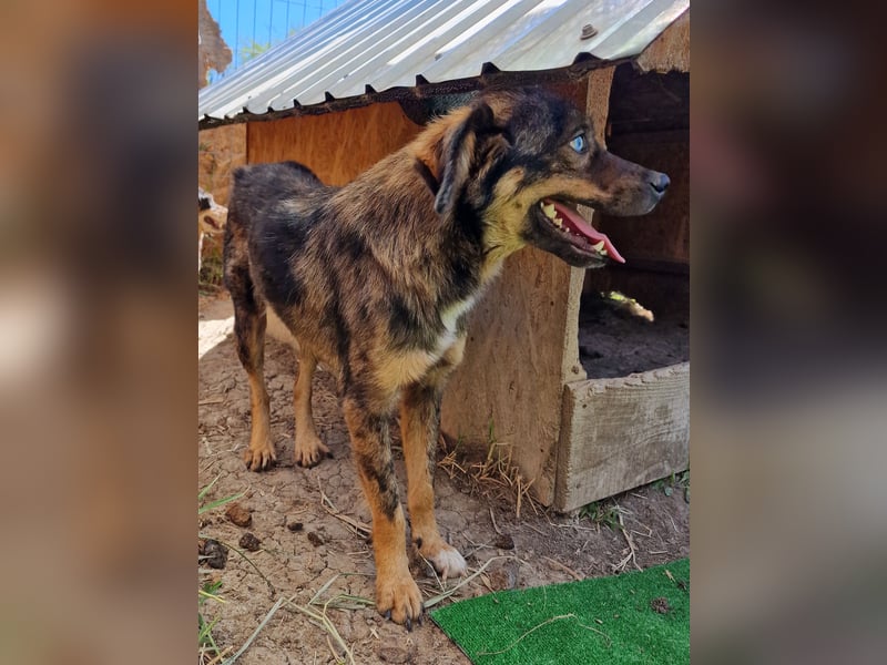 Azul - freundlich und interessiert