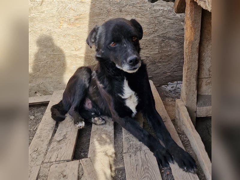 Bounty - ruhig und entspannt