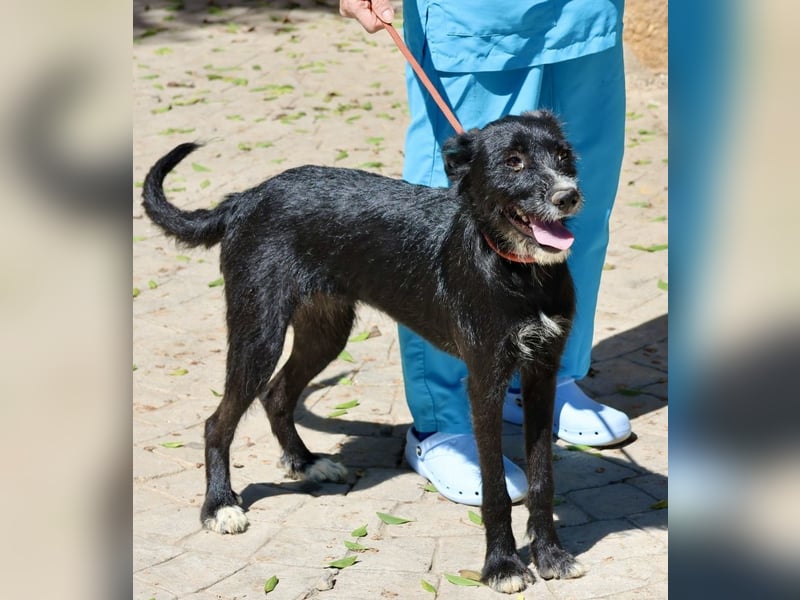 Pati, menschenbezogen, sanft, sehr sozial