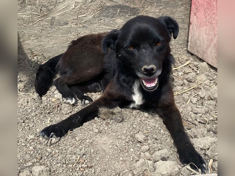 Bounty - ruhig und vorsichtig