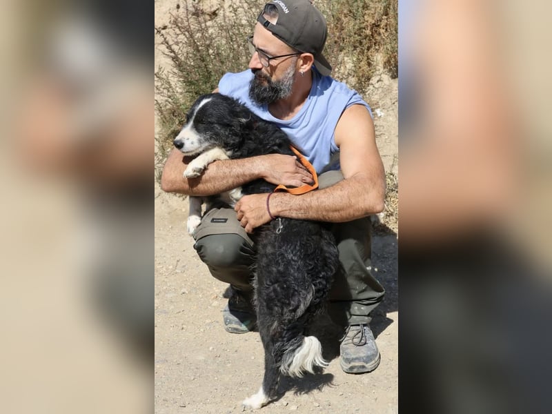 Didi - zutraulich, aufmerksam und verschmust