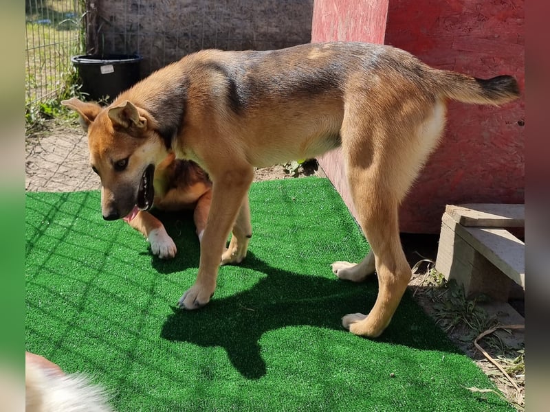 Gianna - vorsichtig und freundlich