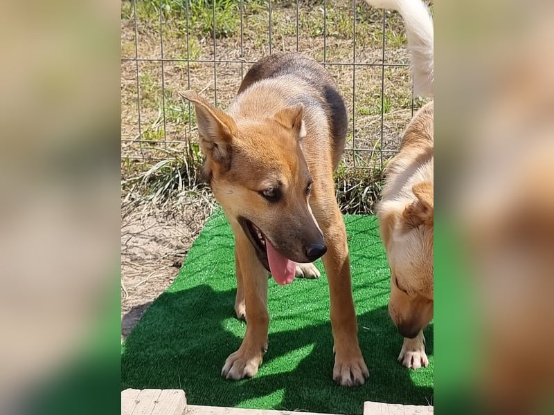 Gianna - vorsichtig und freundlich