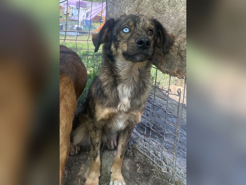 Azul - freundlich und interessiert