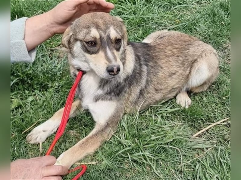 Marlinda - freundlich und interessiert