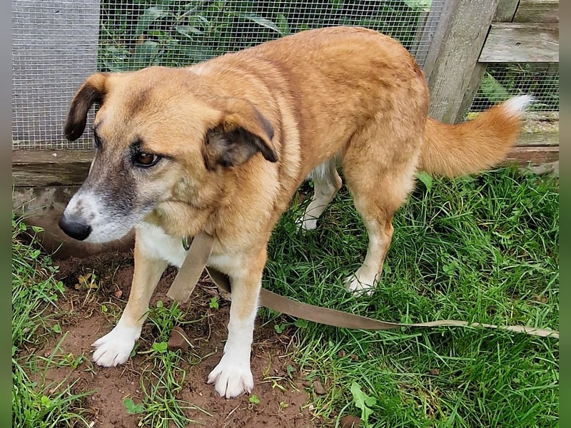 Violet - entspannte Begleiterin - BEREITS IN DEUTSCHLAND