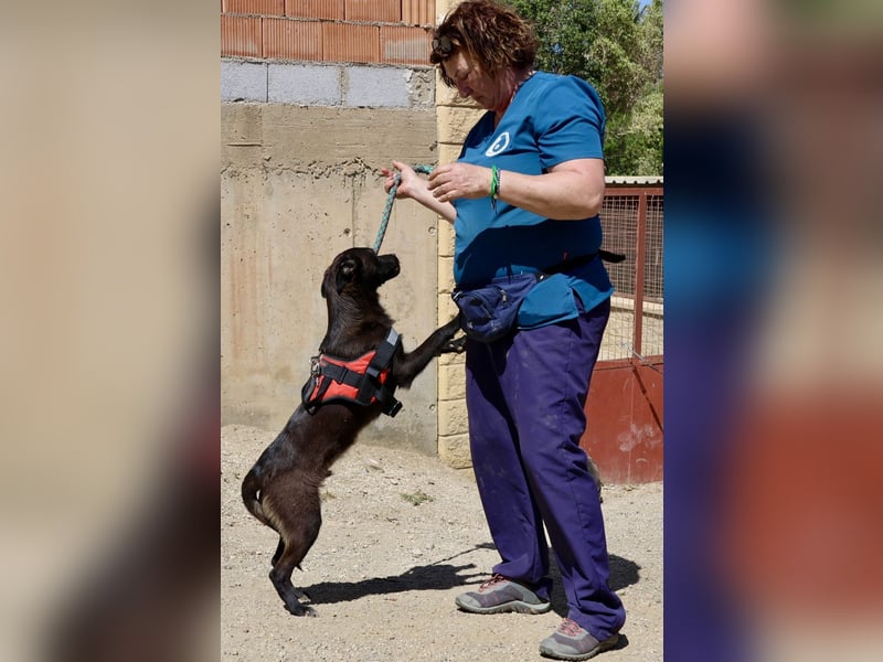 Bruno, sehr verschmust, neugierig, offen