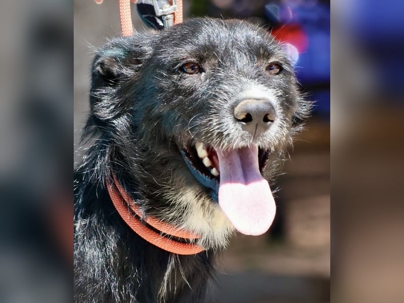 Pati, menschenbezogen, sanft, sehr sozial