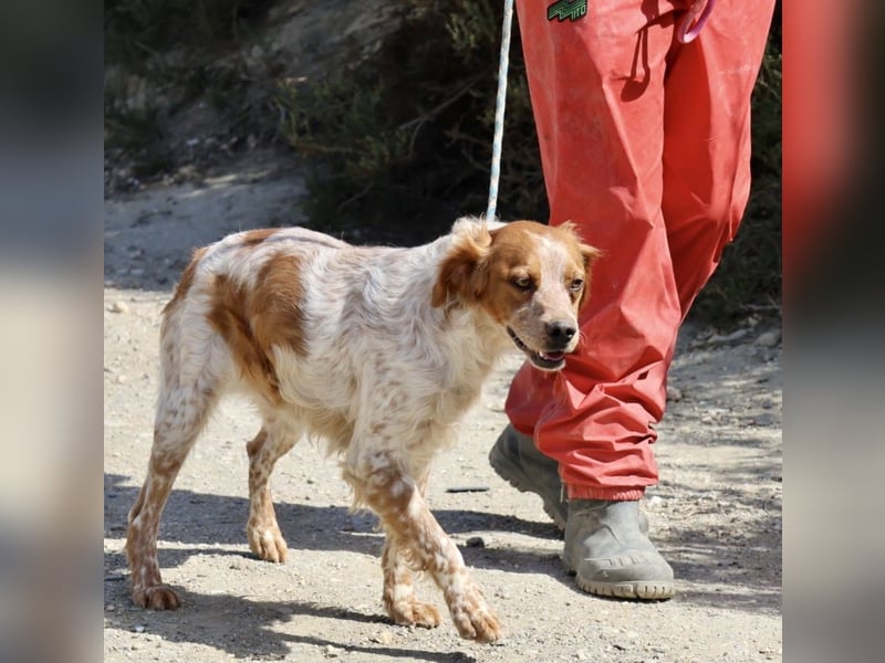 Aldo, menschenbezogen, klug und aufgeschlossen