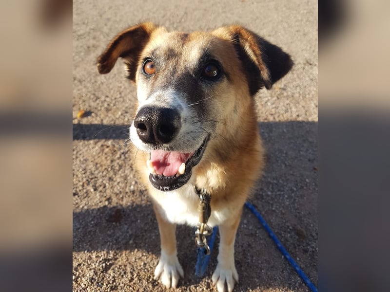 Violet - entspannt und menschenbezogen - BEREITS IN DEUTSCHLAND