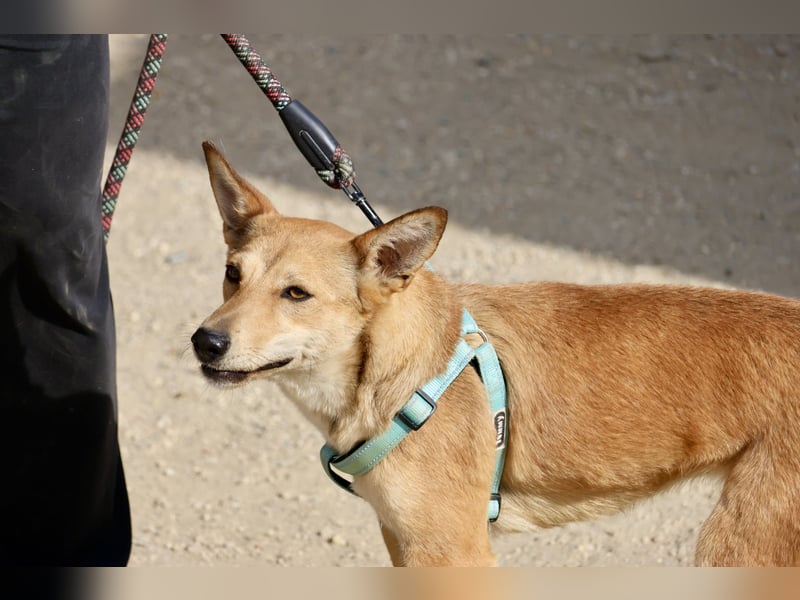 Agua, offen, freundlich und neugierig