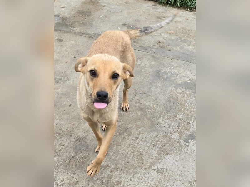 Suki - offen und neugierig