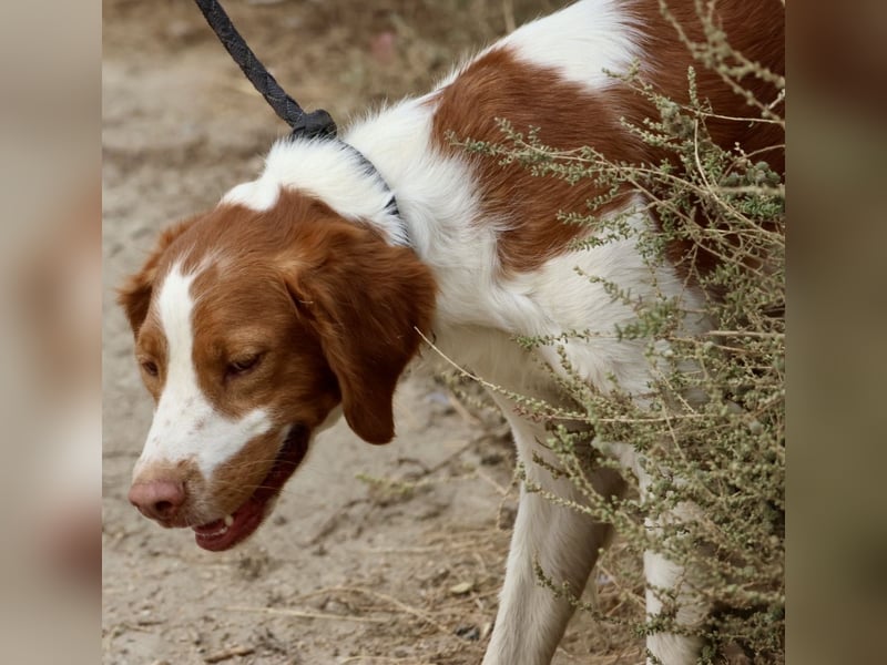 Ralf - klug, bewegungsfreudig und offen