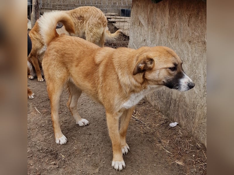 Rabea - freundlich und neugierig