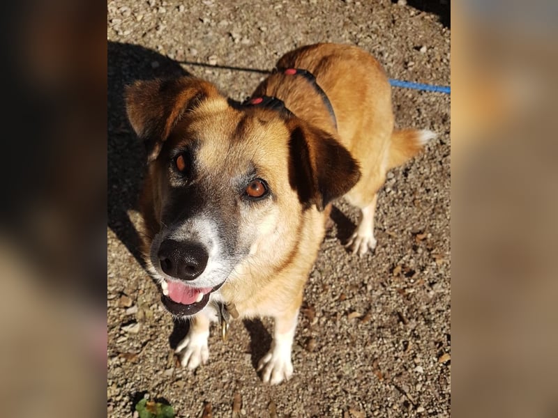 Violet - entspannte Begleiterin - BEREITS IN DEUTSCHLAND