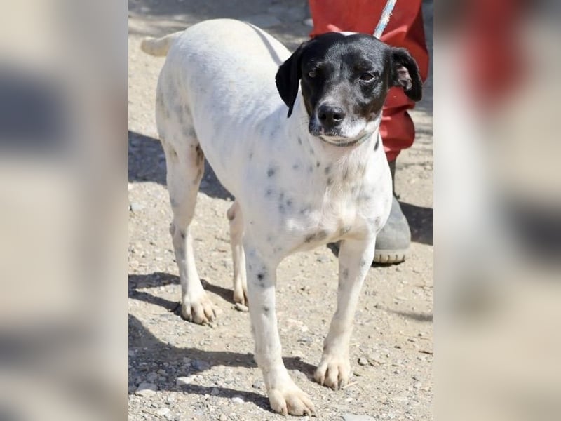 Gaia, sehr sozial, sanft und menschenbezogen