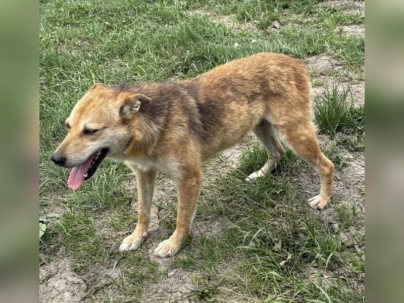 Gianna - vorsichtig und freundlich