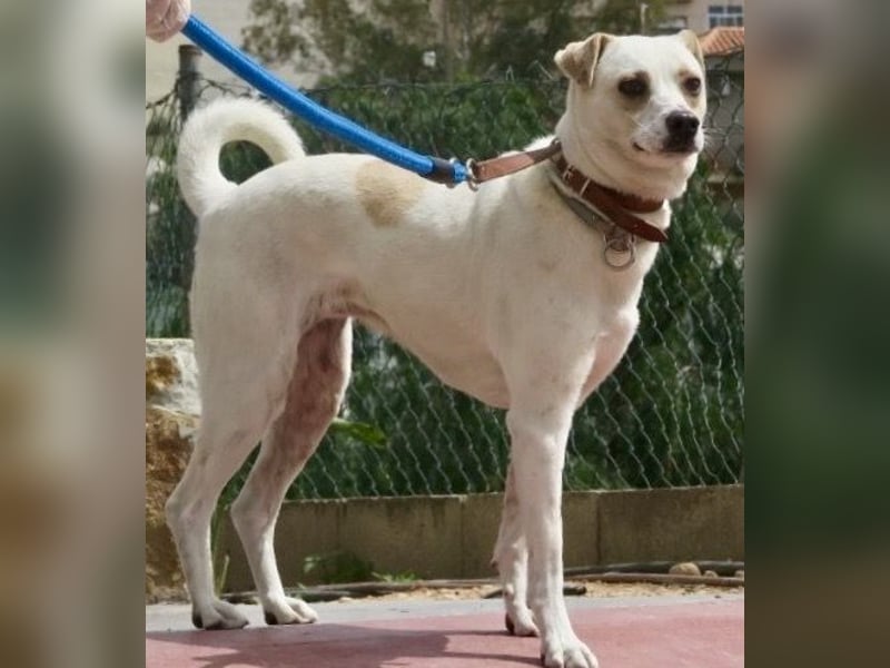 Coco, offen, menschenbezogen, freundlich