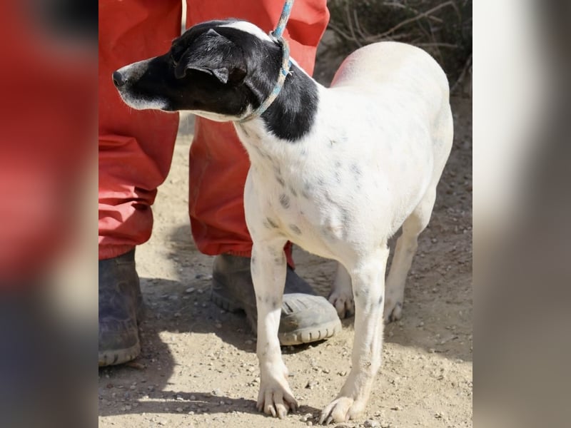 Gaia, sehr sozial, sanft und menschenbezogen