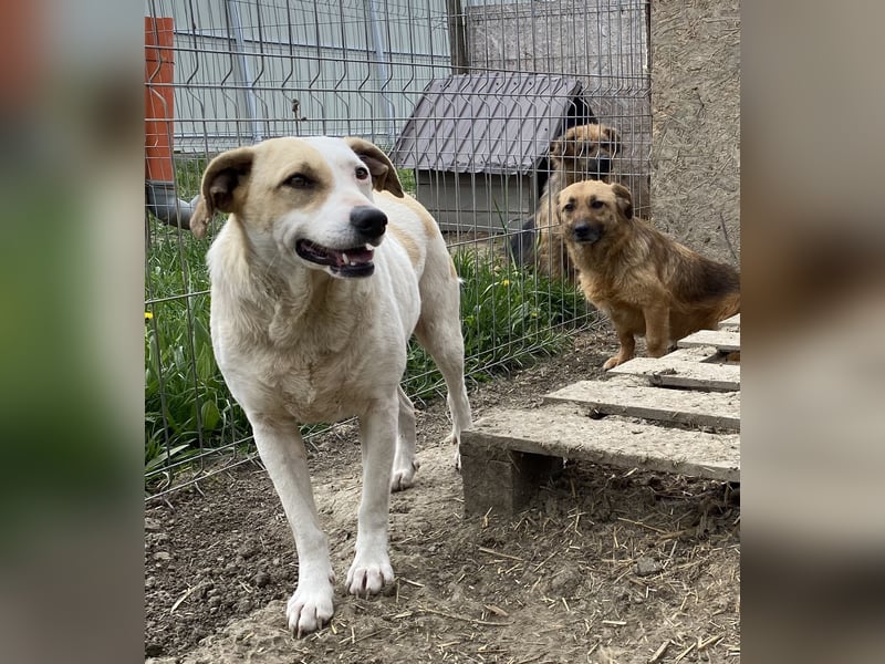 Marlene - aufgeschlossen und neugierig