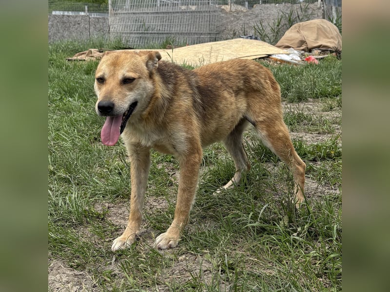 Gianna - vorsichtig und freundlich