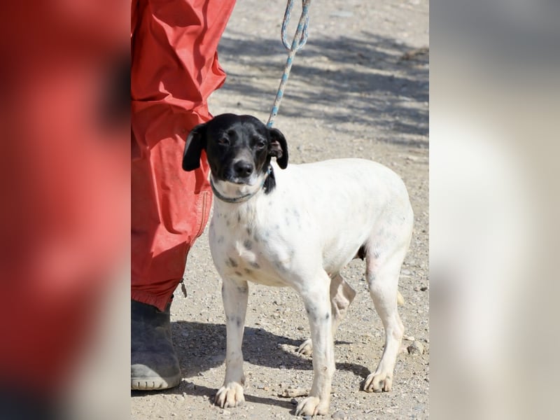 Gaia, sehr sozial, sanft und menschenbezogen