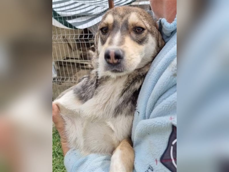 Marlinda - freundlich und interessiert