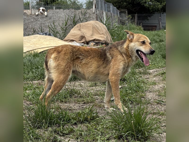 Gianna - vorsichtig und freundlich