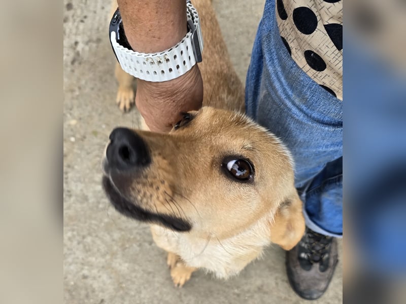 Suki - offen und neugierig