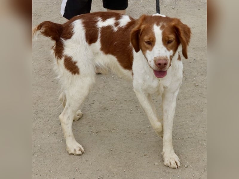 Ralf - klug, bewegungsfreudig und offen