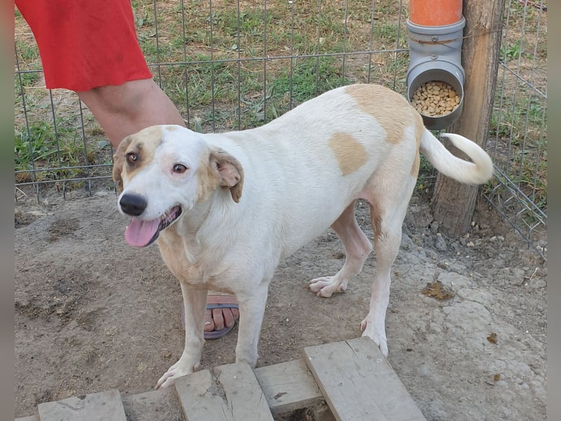 Marlene - aufgeschlossen und neugierig