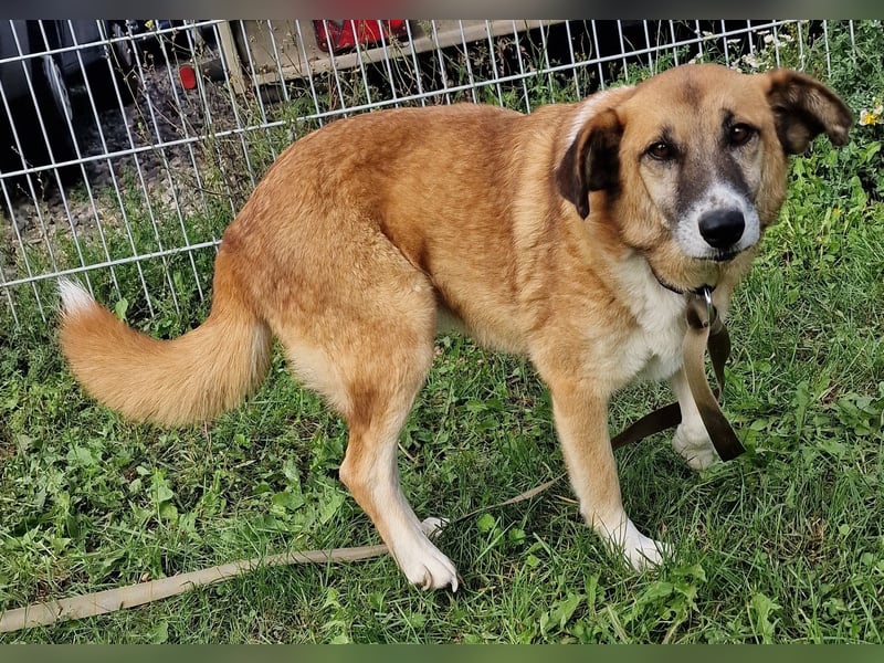 Violet - freundlich und gemütlich - BEREITS IN DEUTSCHLAND