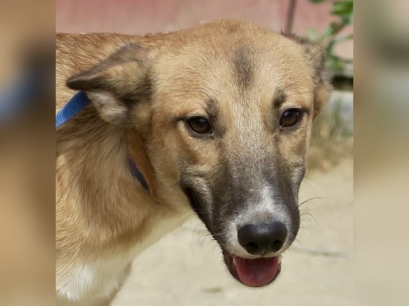 Pichichus, jung,lernwillig und aufgeschlossen