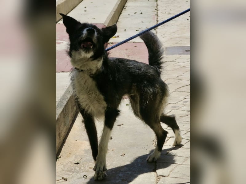 Jesika, freundlich, aufgeschlossen, neugierig