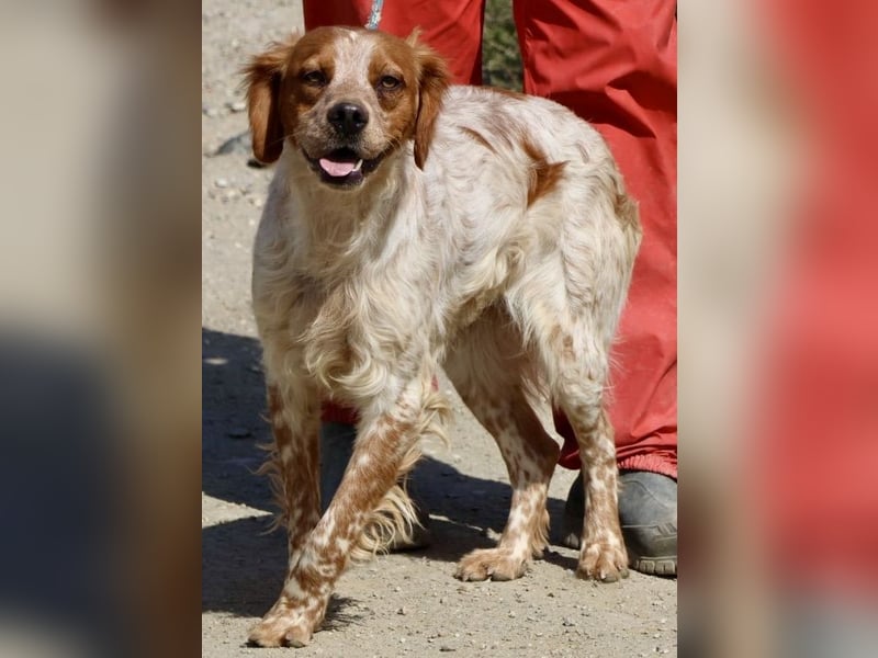 Aldo, menschenbezogen, klug und aufgeschlossen