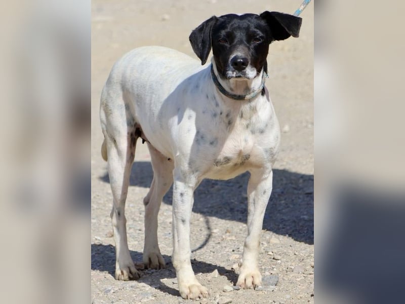 Gaia, sehr sozial, sanft und menschenbezogen